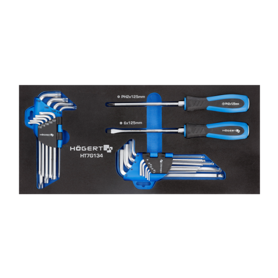 Set odvijača, ključeva HEX i TORX 20 kom., umetak EVA