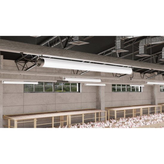 HERMETIČNA  LED SVETILKA FARM, LED, 50 W, 7500 lm, 4000K, AC220-240V, IP65, IK08, PMMA, 150 cm