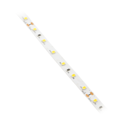 LED TRAK 2835, DC24V, 300LED/5m, 12 W/m, 780 lm/m, 3200K, IP20, KOLUT 5 m