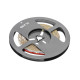 Flash Traka 2835, 300 LED neutralna bijela boja 4000K, 38W, bez gela 8 mm, Roll 5m, 12V