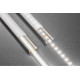 LED traka COB 12V, 320LED/m, 8mm, 8W/m, bez gela, neutralna bijela