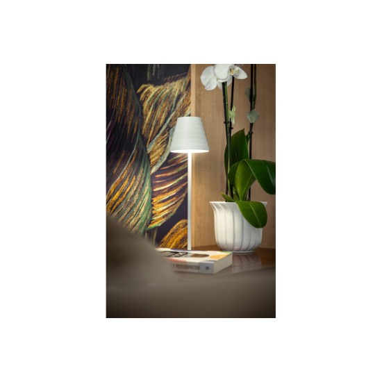 'FIZZI LED stolna svjetiljka, 2,5W, 200lm, DC 5V, 1A,4000 K, baterija 4000 mAh, bijela