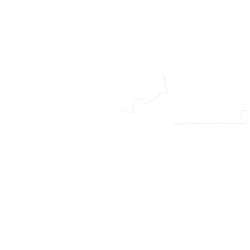 Zidna svjetiljka  ARTEMIA,2218,AC220-240V,50/60Hz,1*E27, max.40W, IP20, śr.16,3cm,pojedin.  bijela