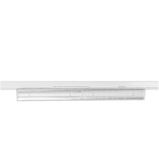 XLD-AXON30W-CCT-00