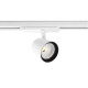 EXPO Reflektor, LED, 30W, 3000lm, CCT, AC180-250V, 60°, CRI90+, bijela