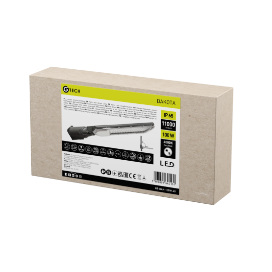 G-TECH ULIČNA SVETILKA DAKOTA, LED, 100W, 11000lm, 4000K, AC220-240V, IP65, SIV