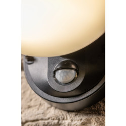 LED FASADNA SVETILKA TERRO S SENZORJEMJEM GIBANJA, 10 W, 720 lm, IP54, 4000K, ČRNA