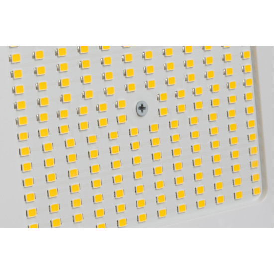 ALTON PRO REFLEKTOR, LED, 50W, 8000lm, 4000K, AC220-240V, IP65