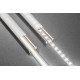 LED trak COB
