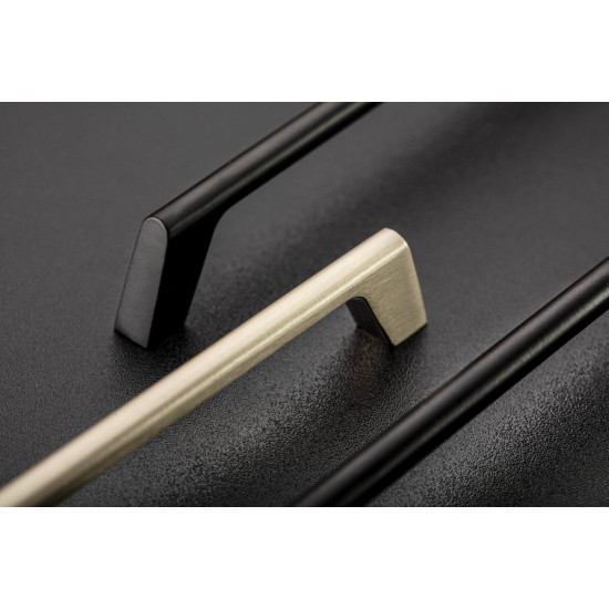 Ručkica G2, L=160, inox inox