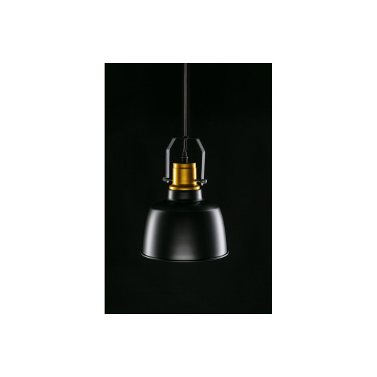 Plafonska svjetiljka  MONROE,6958,AC220-240V,50/60Hz,1*E27, IP20,promjera  22 CM,pojedin.,crno/zlatna
