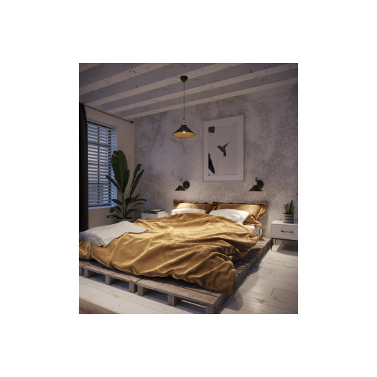 Plafonska svjetiljka  MANI 2, 4076,AC220-240V,50/60Hz,1*E27, IP20,promjera  30 CM,pojedin.,crno/zlatna
