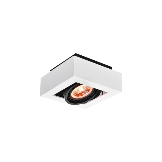Plafonska svjetiljka  Loid,4632,AC220-240V, 50/60 Hz, IP 20,1*gu10, ES111,pojedin.,bijela