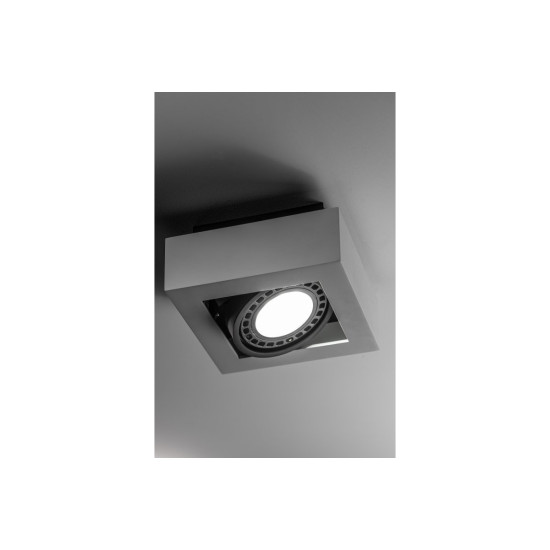 Plafonska svjetiljka  Loid,4632,AC220-240V, 50/60 Hz, IP 20,1*gu10, ES111,pojedin.,bijela