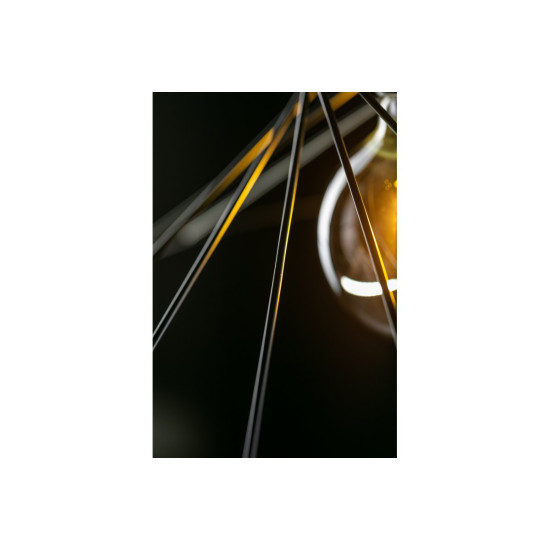 Plafonska svjetiljka  TILIA,7849,AC220-240V,50/60Hz,1*E27, IP20,promjera  35 CM,pojedin.,crna